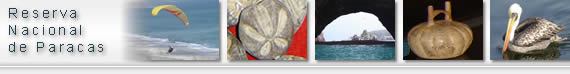 Artesan�a, deporte de aventura, turismo, ecolog�a y diversi�n en Paracas Ica Per�