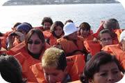 boat tour to ballesta islands