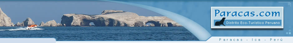 Paracas Tours Peru